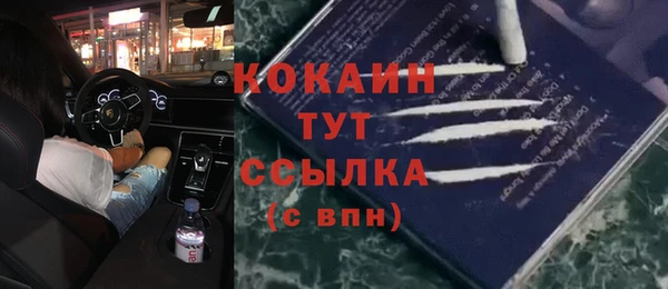 гидропоника Гусев