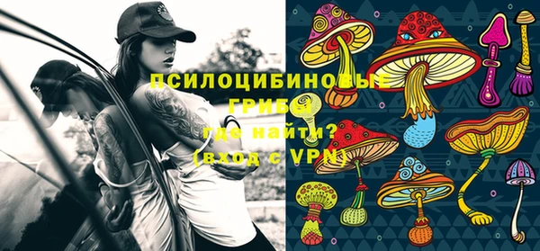 стаф Гусиноозёрск