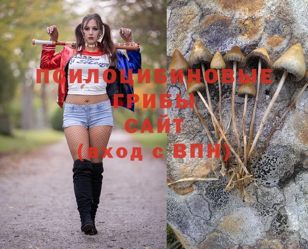 тгк Чегем