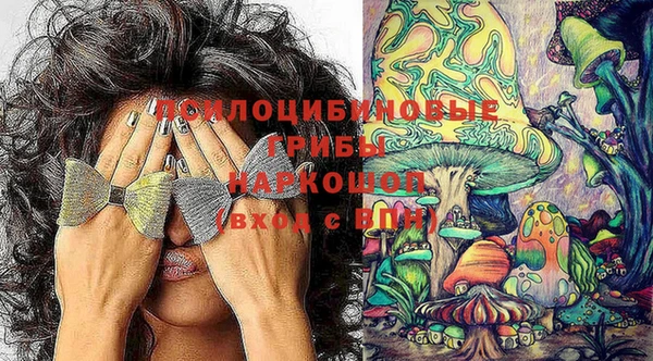 дживик Гусь-Хрустальный