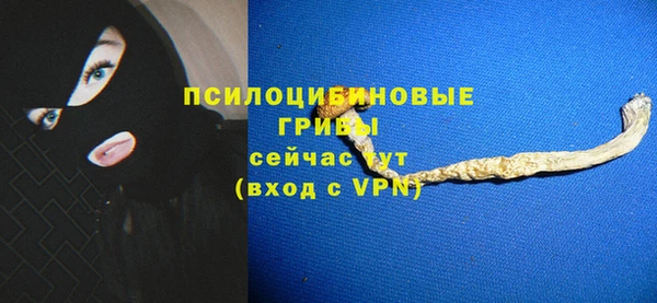 гидропоника Гусев
