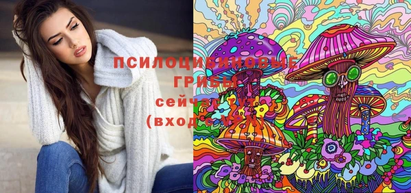 гидропоника Гусев