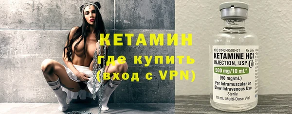 дживик Гусь-Хрустальный