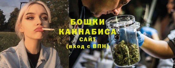 дживик Гусь-Хрустальный
