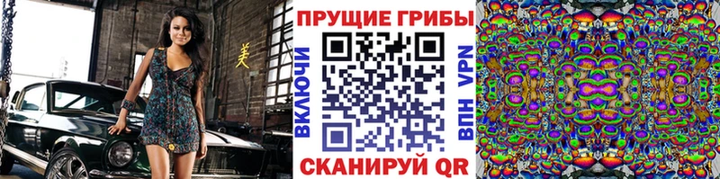 Галлюциногенные грибы Magic Shrooms  где можно купить   Невель 
